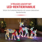 LED-Rentierfamilie 3-tlg.