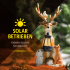 Solar-Dekofigur "Rentier" mit Laterne