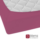 biberna Feinjersey-Spannbetttuch brombeer, 1x 140x200 cm - 160x200 cm