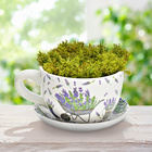 Blumentopf "Tasse Lavendel" aus Keramik