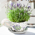 Blumentopf Pflanztasse "Lavendel" aus Keramik groß