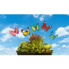 5er-Set Schmetterlinge zum Aufstecken