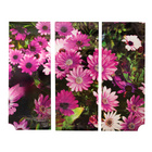 Mülltonnenaufkleber "Gerbera" 3er-Set