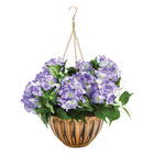 Blumenampel "Hortensien" blaurosa