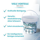 Schäumender WC-Reiniger Clarsen