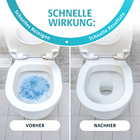 Schäumender WC-Reiniger Clarsen