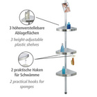 Teleskop-Duschecke Premium mit Spiegel satiniert WENKO