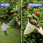 Obstsammler XL mit Teleskopstiel MAXIMEX