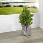 Thermo-Pflanztopfsack 30×40 cm MAXIMEX