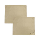 Pflanzenschutz 2er Set 100×120 cm MAXIMEX