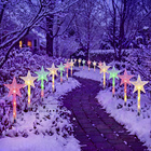 LED-Gartenstecker "Stern"