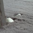 Hochflor-Teppich RABBIT 780 Rund Paco Home