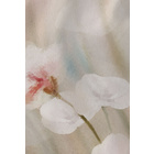 Feinbiber-Bettwäsche "Aquarellblumen" natur biberna
