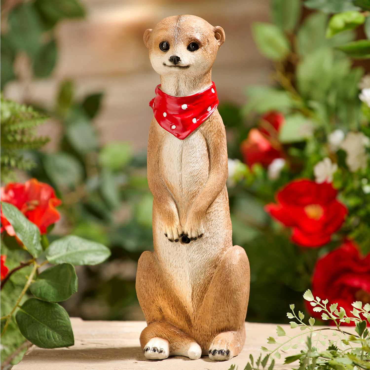 Bewegungsmelder Erdmännchen 